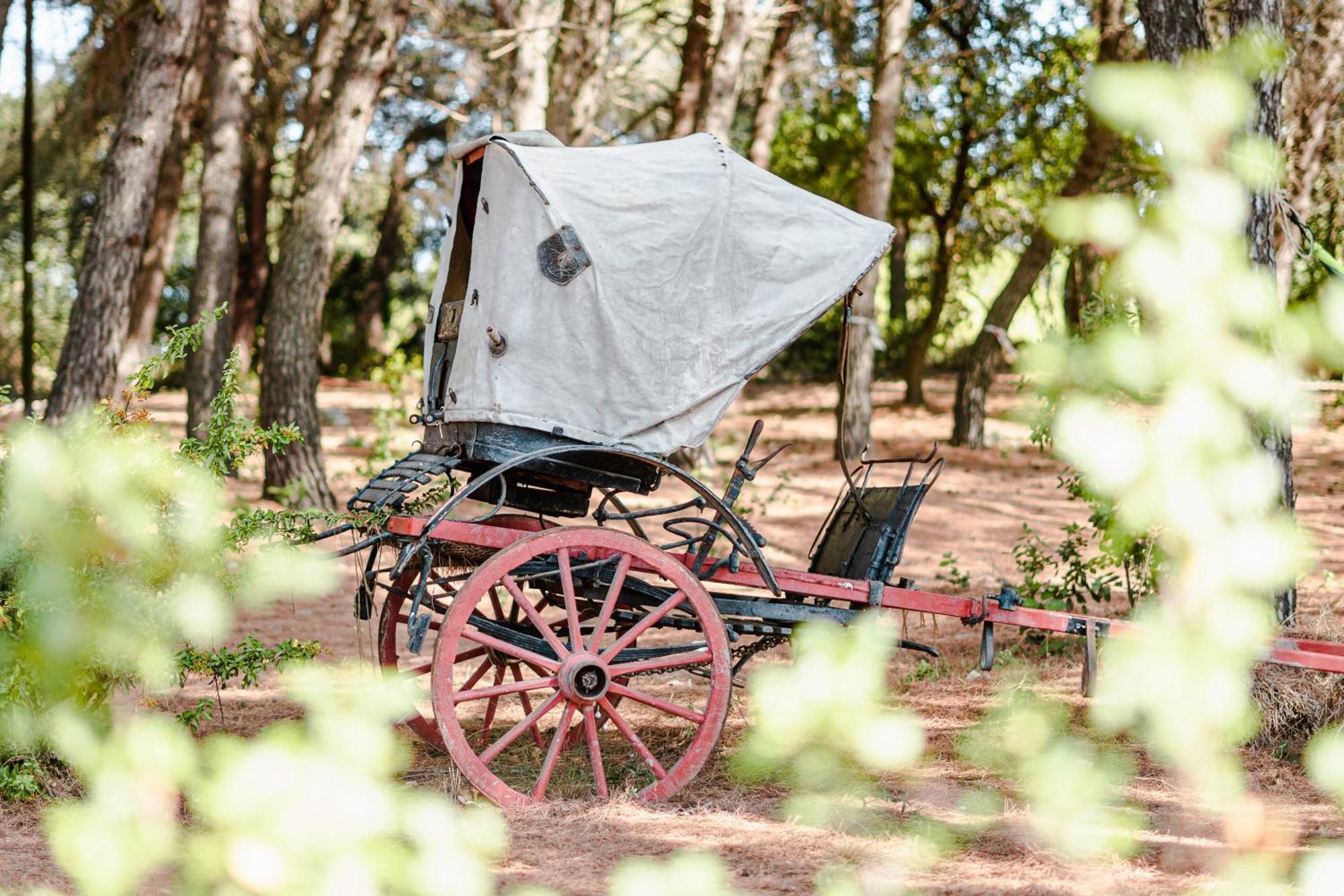 Ad Un Passo Da Cisternino - Trulli Con Foresta, Bici E Barbecue Εξωτερικό φωτογραφία