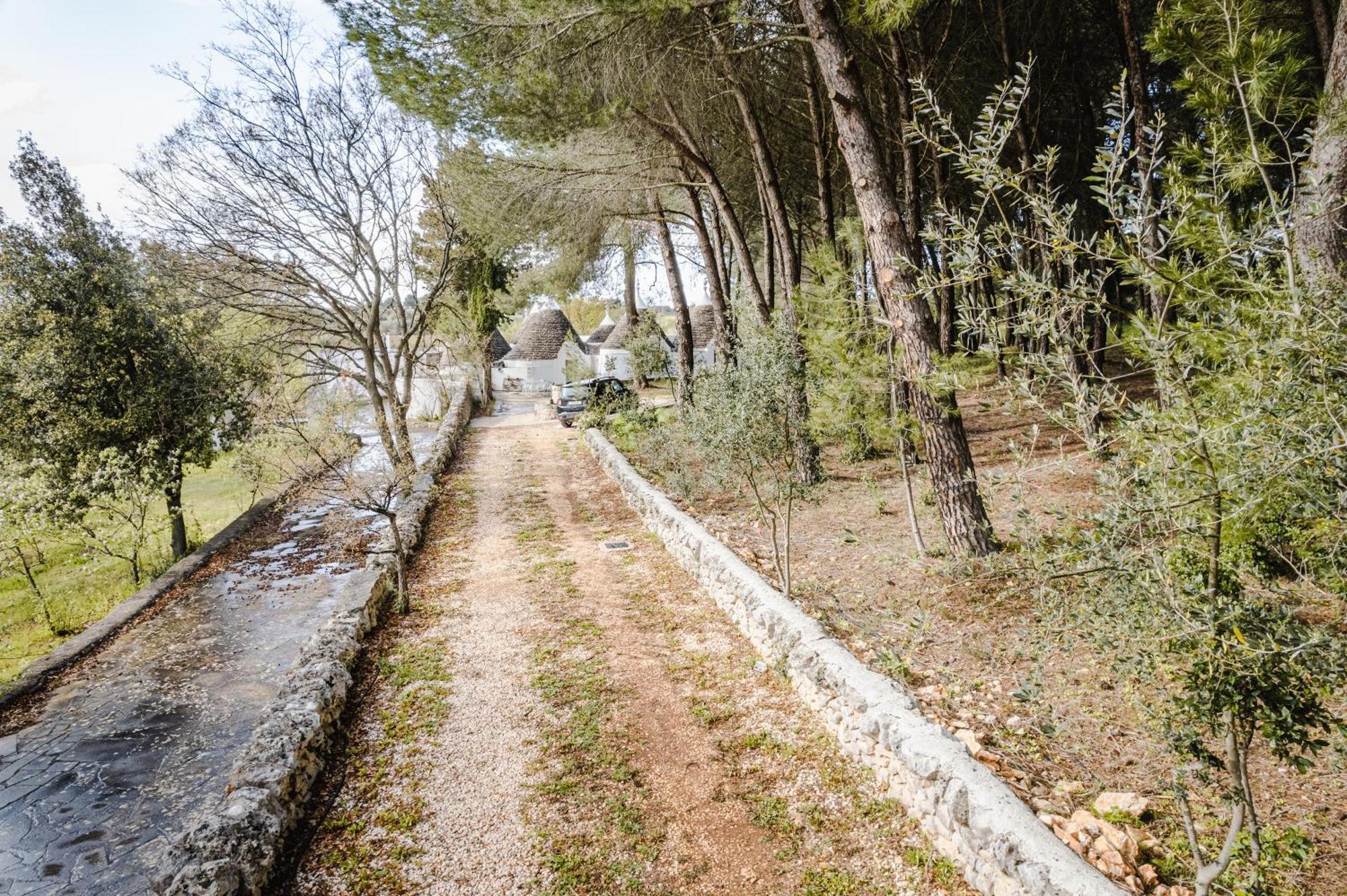 Ad Un Passo Da Cisternino - Trulli Con Foresta, Bici E Barbecue Εξωτερικό φωτογραφία