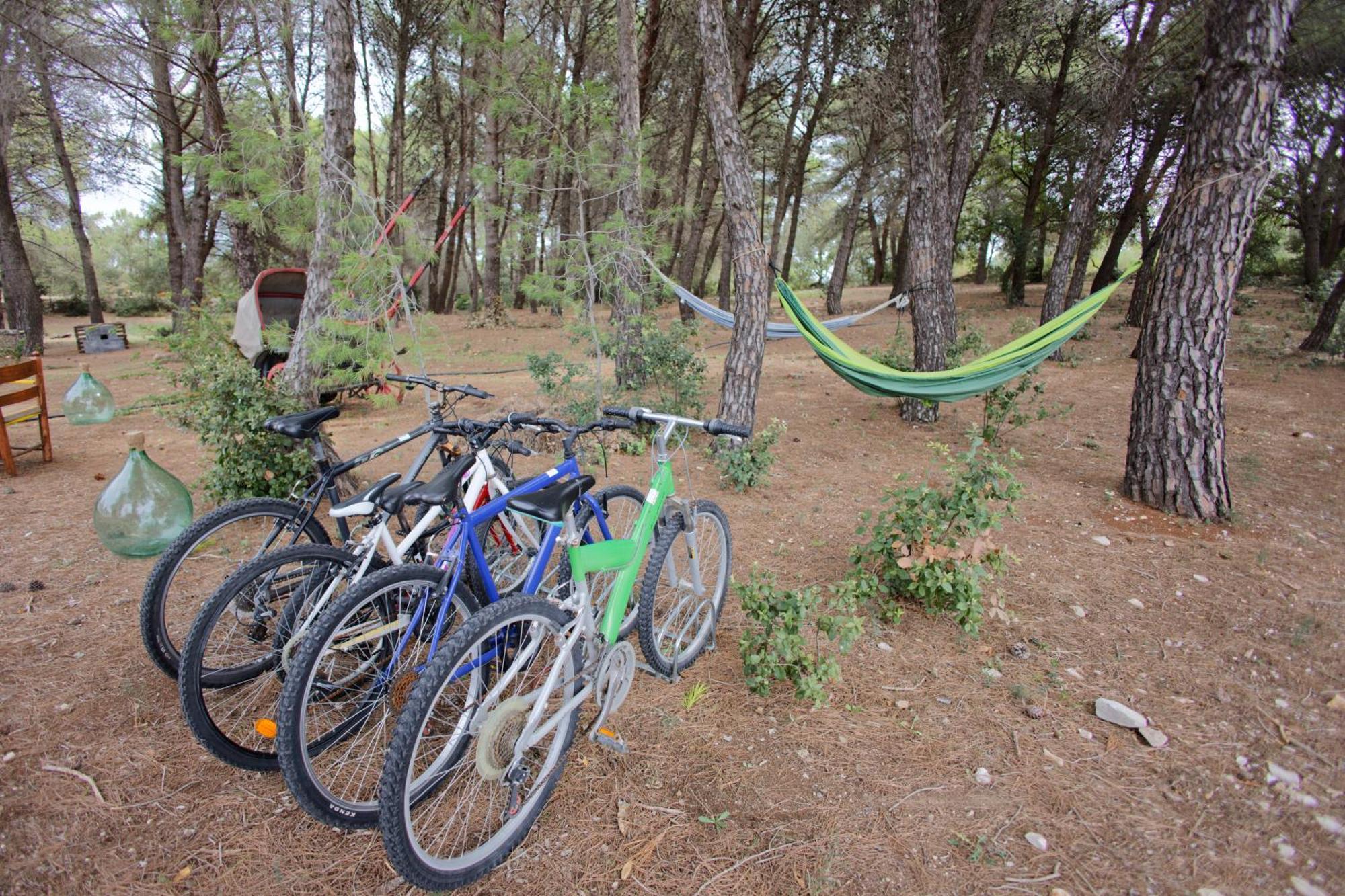 Ad Un Passo Da Cisternino - Trulli Con Foresta, Bici E Barbecue Εξωτερικό φωτογραφία